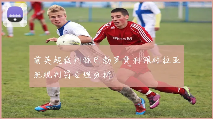 前英超裁判称巴勃罗费利佩对拉亚犯规判罚合理分析