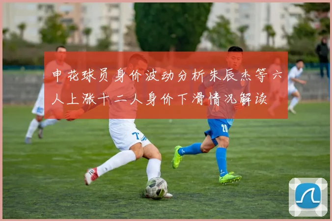 申花球员身价波动分析朱辰杰等六人上涨十二人身价下滑情况解读