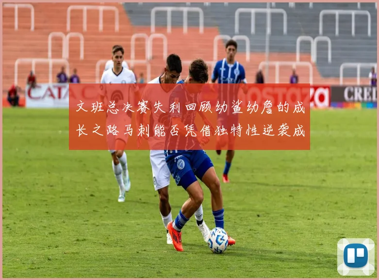 文班总决赛失利回顾幼鲨幼詹的成长之路马刺能否凭借独特性逆袭成功